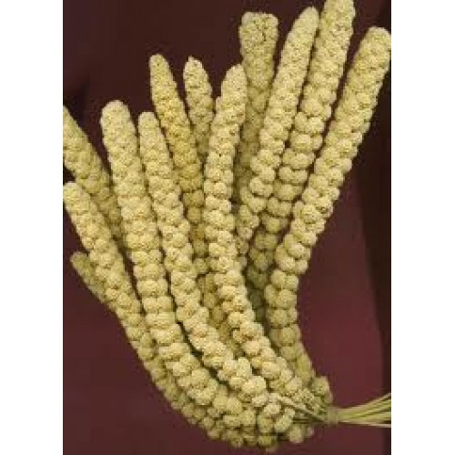 Chinese Millet Spray Cage bird feed in Kent Broadfeed Tunbridge Wells