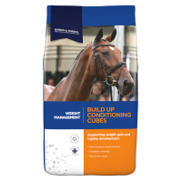 Dodson & Horrell Build Up Conditioning Cubes