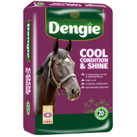 Dengie Cool, Condition & Shine - This is a Pre-order item 