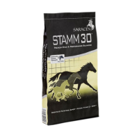 Saracen Stamm 30 Balancer 