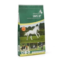 Saracen Shape-Up Saracen Shape-Up