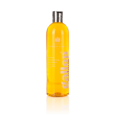 Carr Day & Martin Gallop Colour Enhancing Shampoo - Chestnut Carr Day & Martin Gallop Colour Enhancing Shampoo - Chestnut