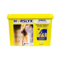 Horslyx - Garlic Balancer 
