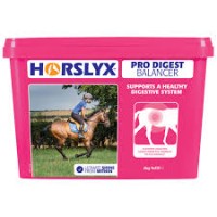 Horslyx - Pro Digest Balancer 