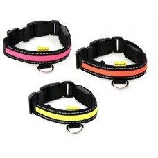 Animal Instincts Flashing Safety Collar (Available in Different Sizes)
