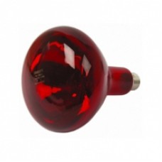 150w Infra Red Bulb Ruby