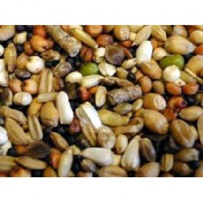 Pigeon Condition Seed – 12.5kg