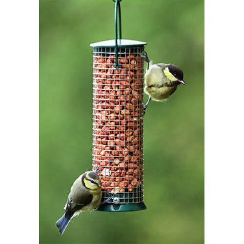 Discovery Plastic Peanut Feeder Wild Bird Feeders In Kent