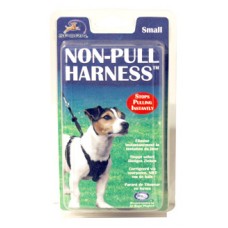 Coa Non-Pull Harness