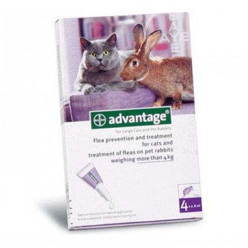 advantage flea treatment for rabbits