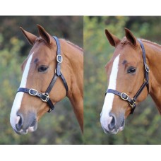 Blenheim Adjustable Headcollar (Available in 2 sizes and 2 colours)