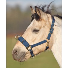 Shires Economy Lunge Cavesson Black (Available in 2 sizes)