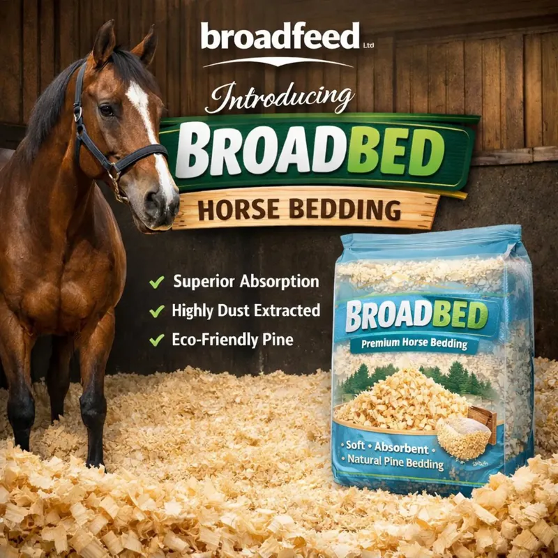 Broadbed