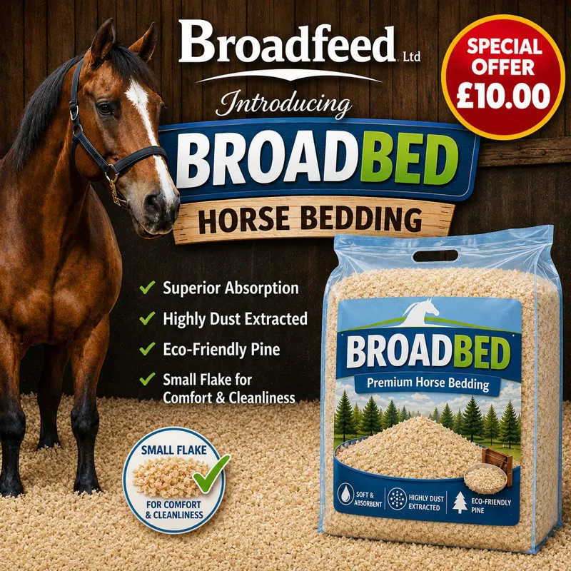 Broadbed