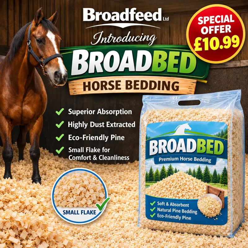 Broadbed