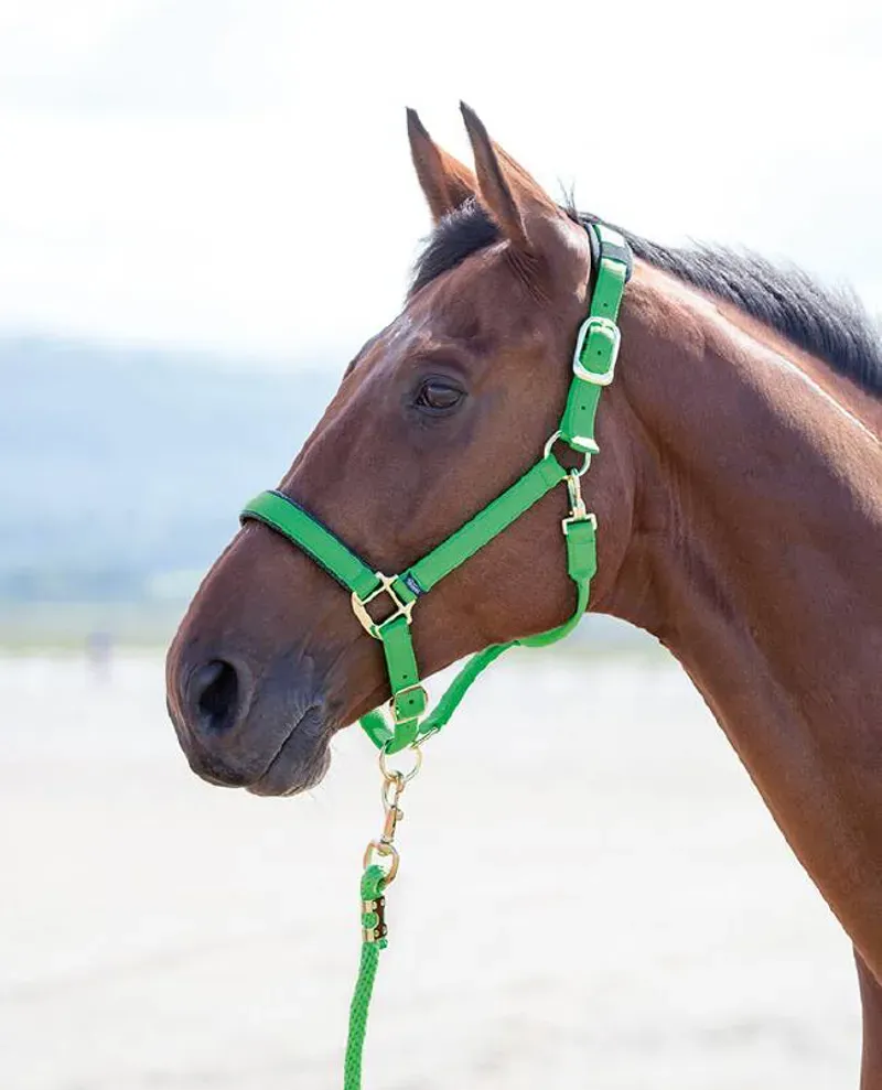 Shires Topaz Nylon Headcollar in Green