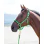 Shires Topaz Nylon Headcollar in Green