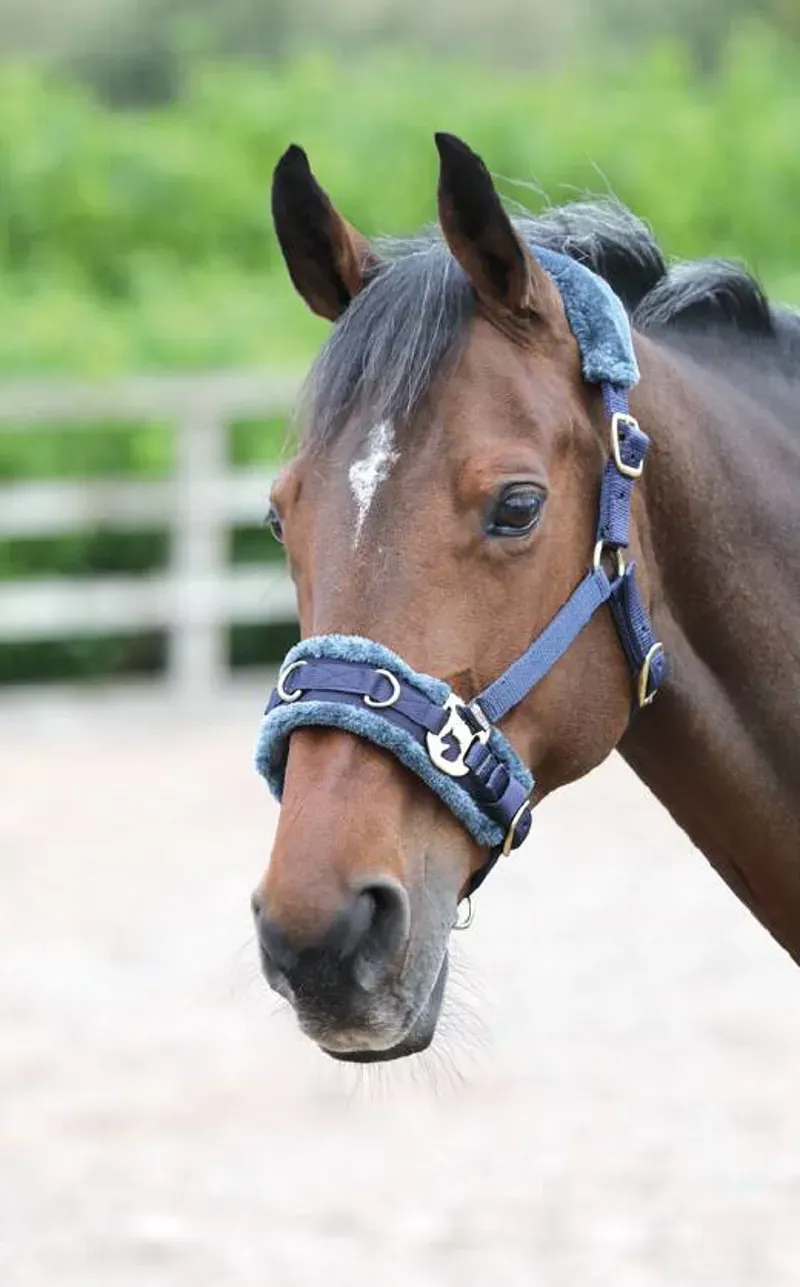 Shires Arma Fleece Lined Lunge Cavesson Full in Navy