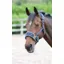 Shires Arma Fleece Lined Lunge Cavesson Full in Navy
