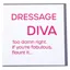 Gubblecote Foiled Greetings Card - Dressage Diva