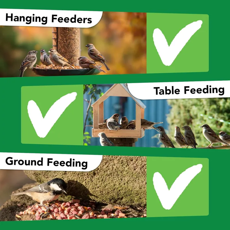 Bamfords Top Flight Garden Gourmet Wild Bird Food 20kg-3