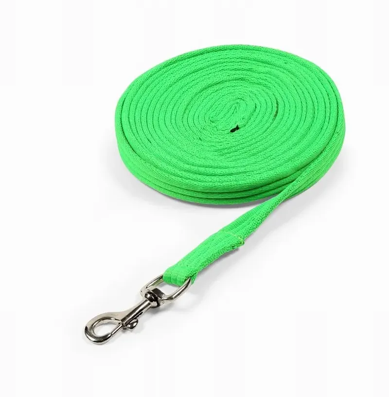 Shires ARMA Cushion Web Lunge Line 8m in Green