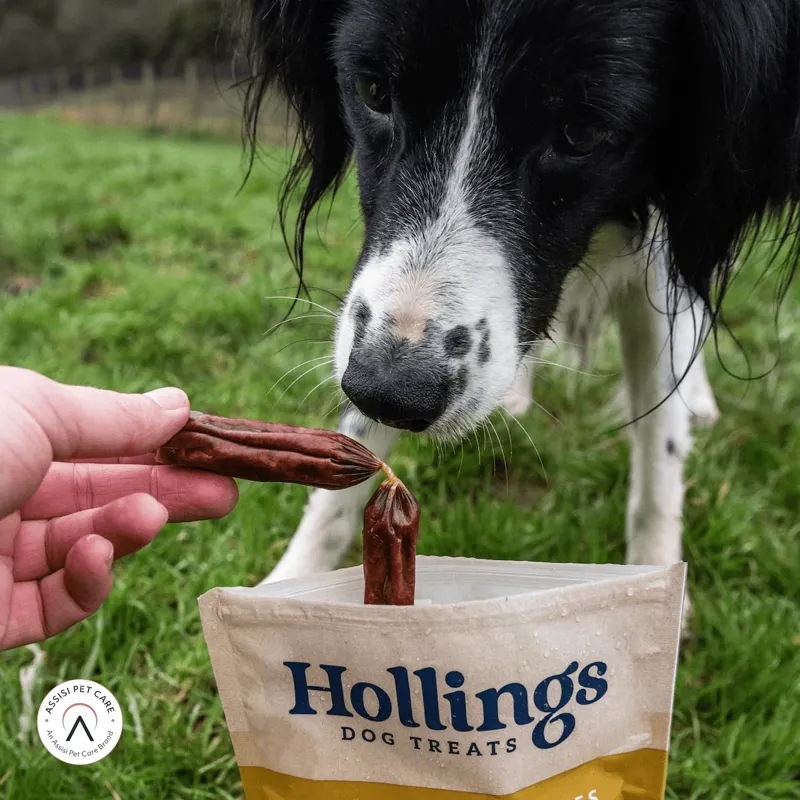 Hollings Gourmet Pork Sausages 200g-6