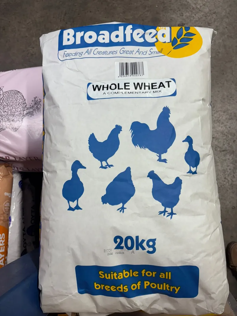 Bf Whole Wheat - 20KG