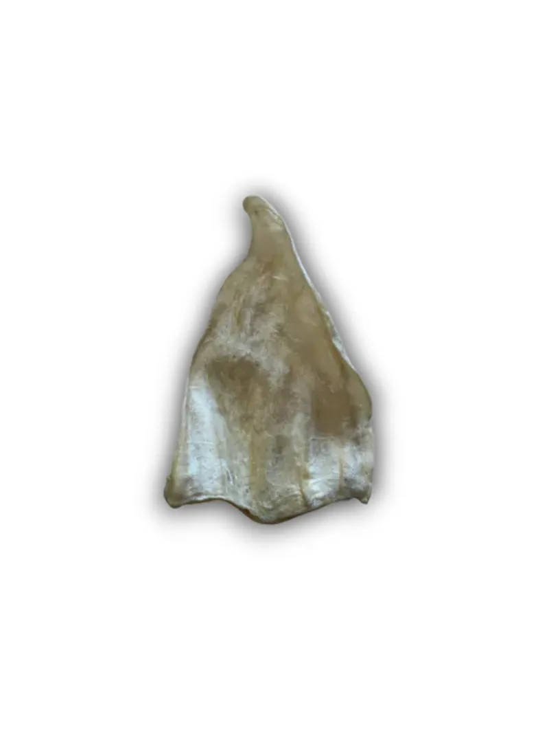 Anco Cow Ears Natural Dog Chew 