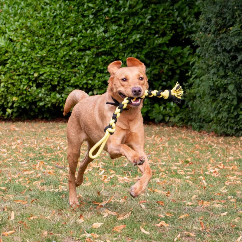 Ancol Bumble Bee Ropey Twist Eco Friendly Dog Toy