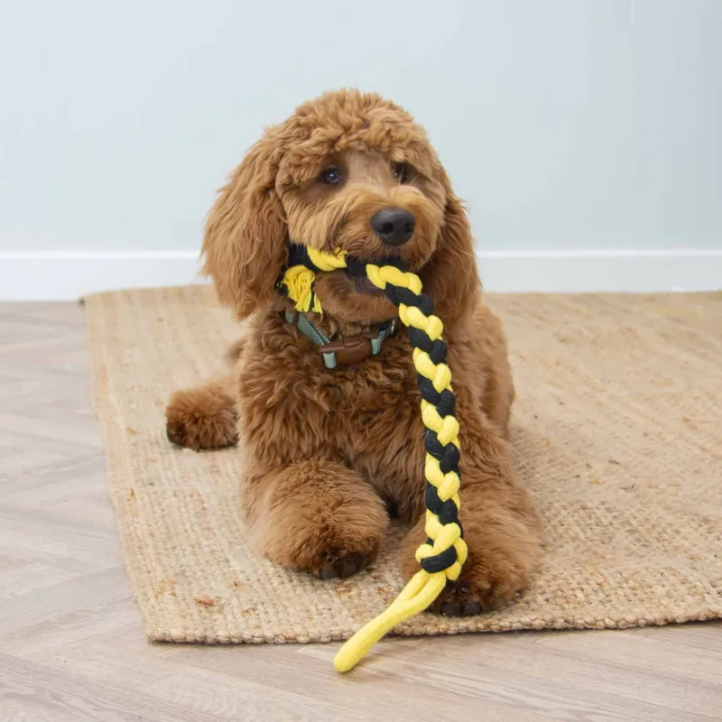 Ancol Bumble Bee Ropey Twist Eco Friendly Dog Toy-1