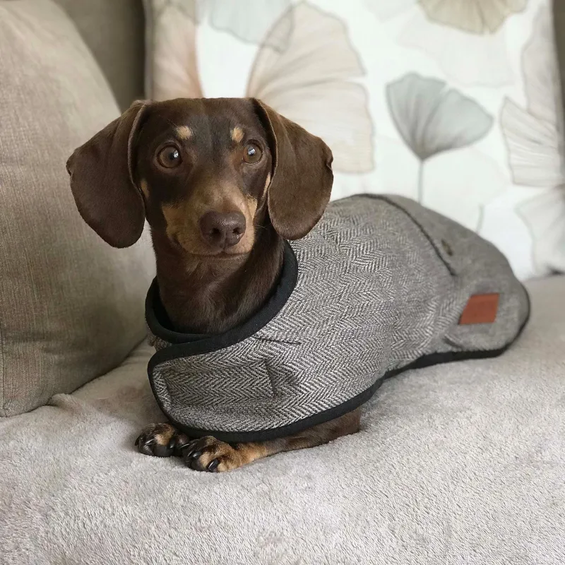 Ancol Heritage Dog Coat 60cm XL in Brown Herringbone-1