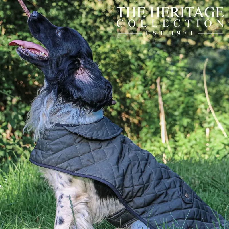 Ancol Heritage Quilted Blanket Coat 60cm XL-1