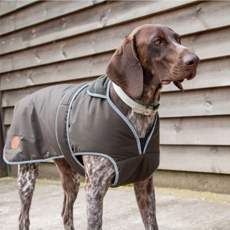 Ancol Heritage Wax Cotton Dog Coat M in Green-3