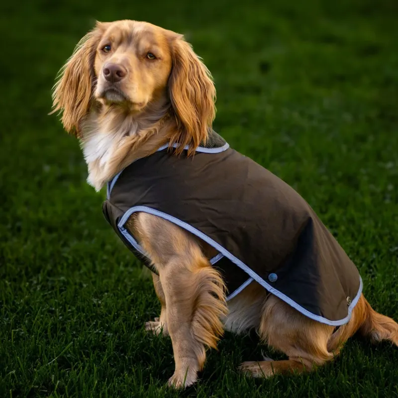 Ancol Heritage Wax Cotton Dog Coat M in Green-4