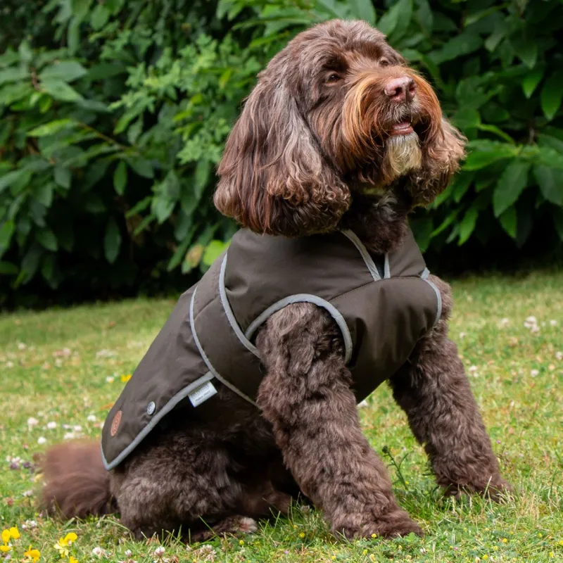 Ancol Heritage Wax Cotton Dog Coat M in Green-5