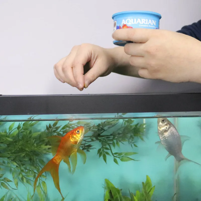 Aquarian Goldfish Flake Food 200g-3