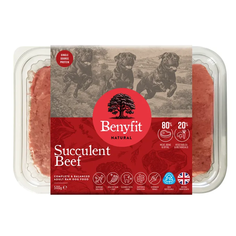Benyfit Succulent Beef Complete Raw Dog Food