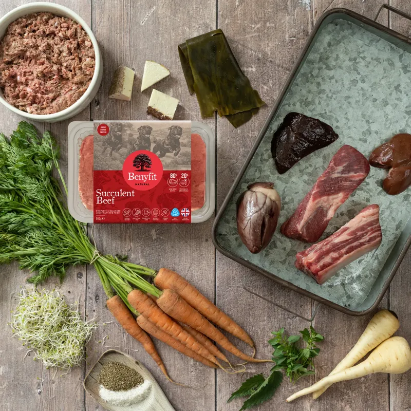 Benyfit Succulent Beef Complete Raw Dog Food-1
