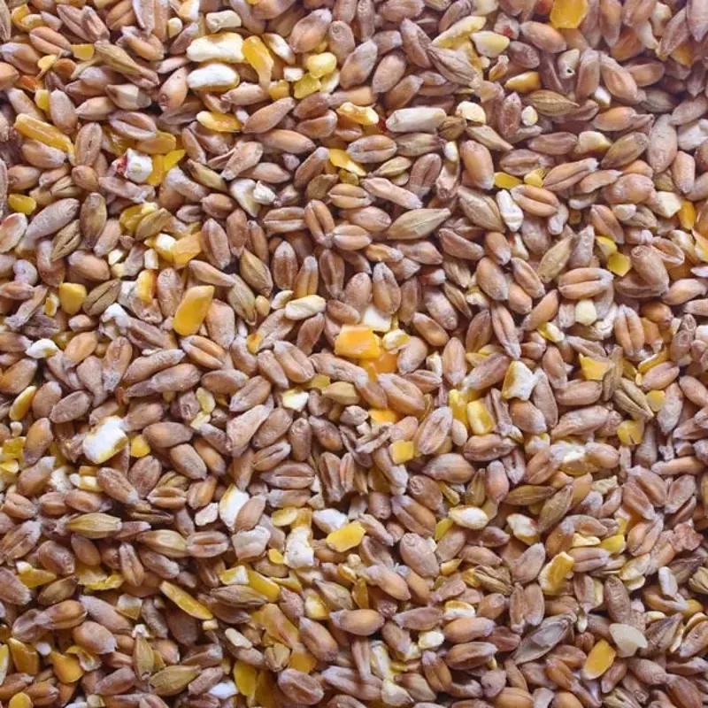 Broadfeed Mixed Corn Chicken Feed 20kg