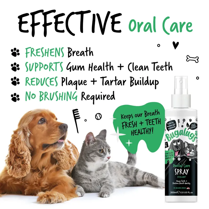 Bugalugs Dental Care Spray 200ml in Fresh Mint-1