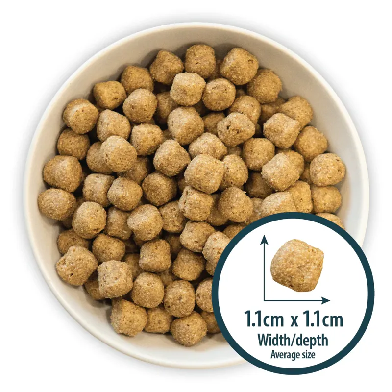 Burns Original Chicken and Brown Rice Dry Dog Food-1