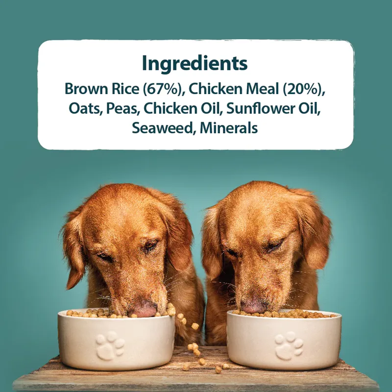 Burns Original Chicken and Brown Rice Dry Dog Food-3