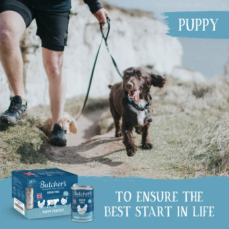 Butchers Puppy Perfect 400g x 6-4