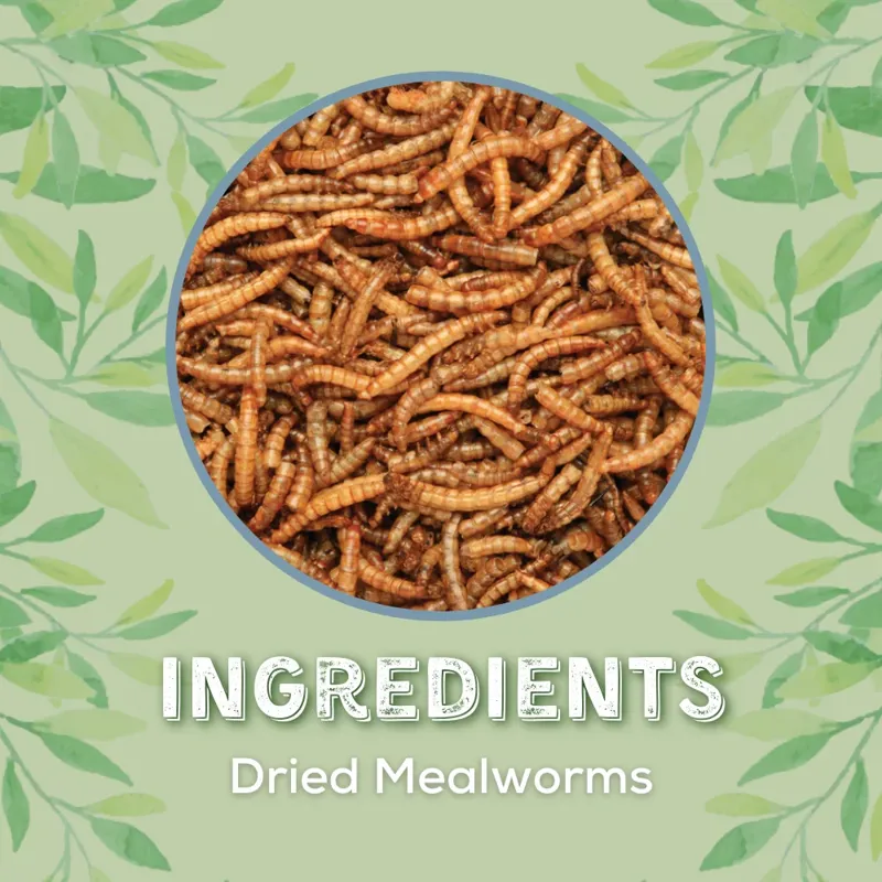 Copdock Mill Dried Mealworms 1L-5