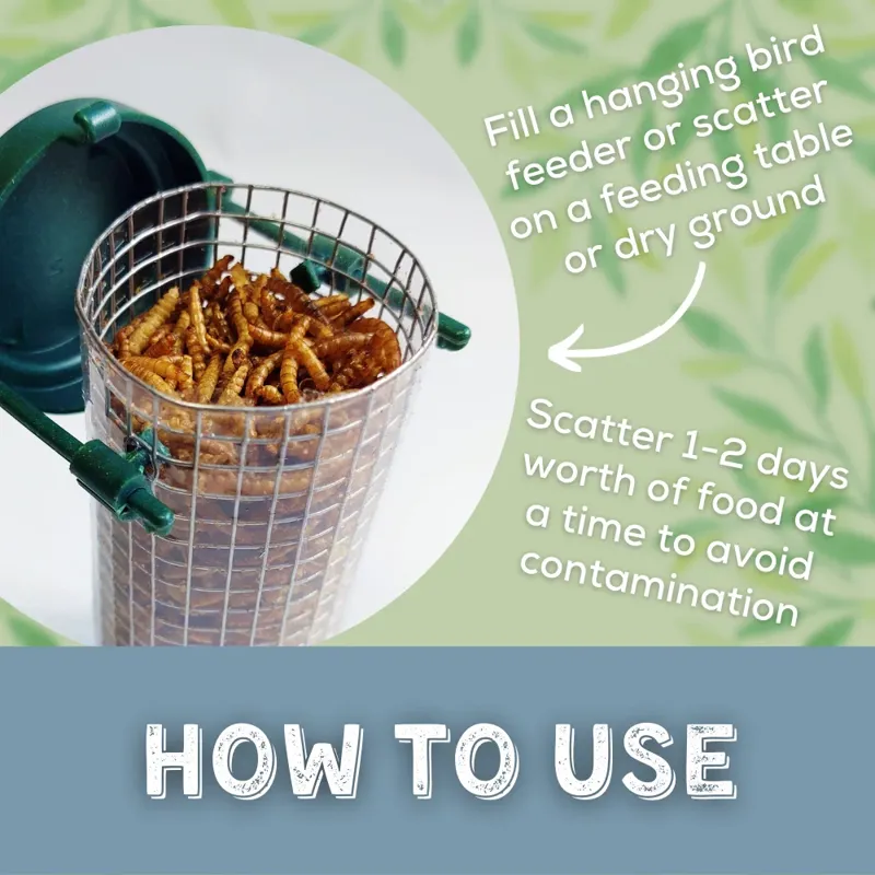 Copdock Mill Dried Mealworms 1L-6