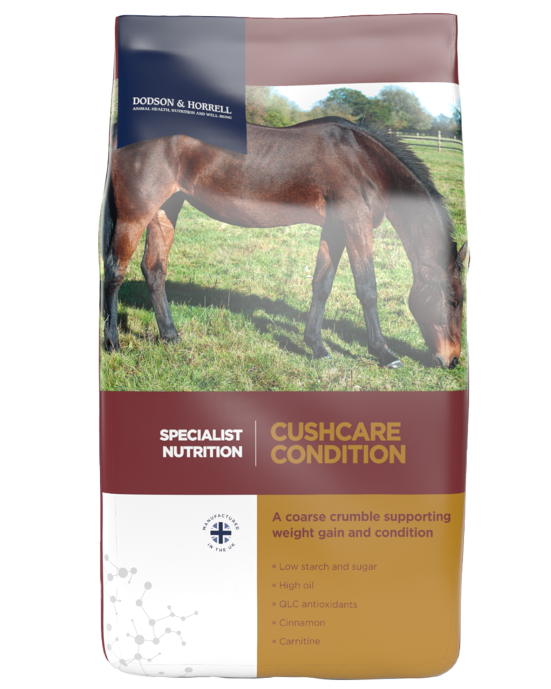 D and H Cushcare Condition 18kg