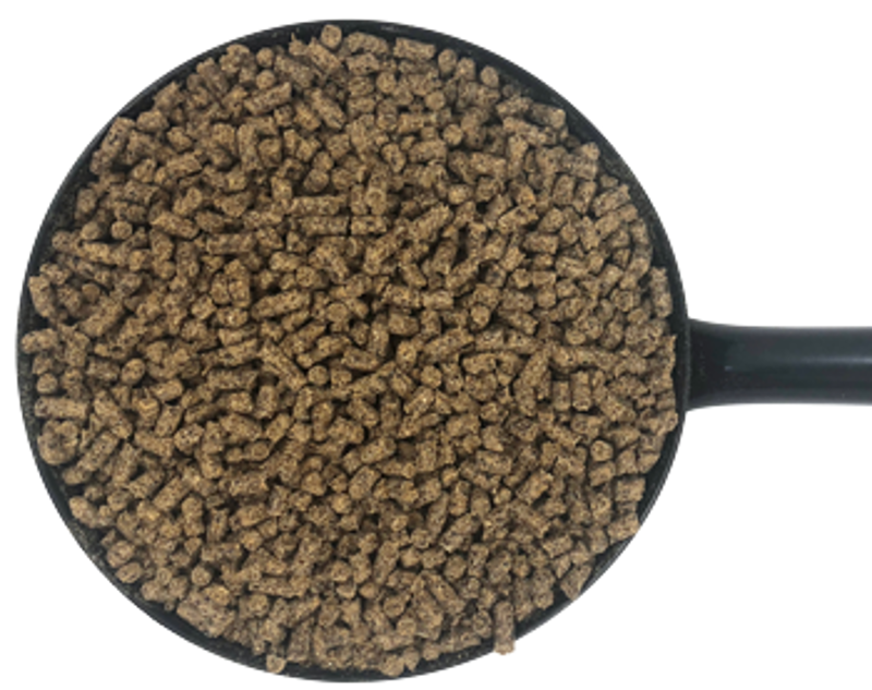 D and H Cushcare Condition 18kg-1
