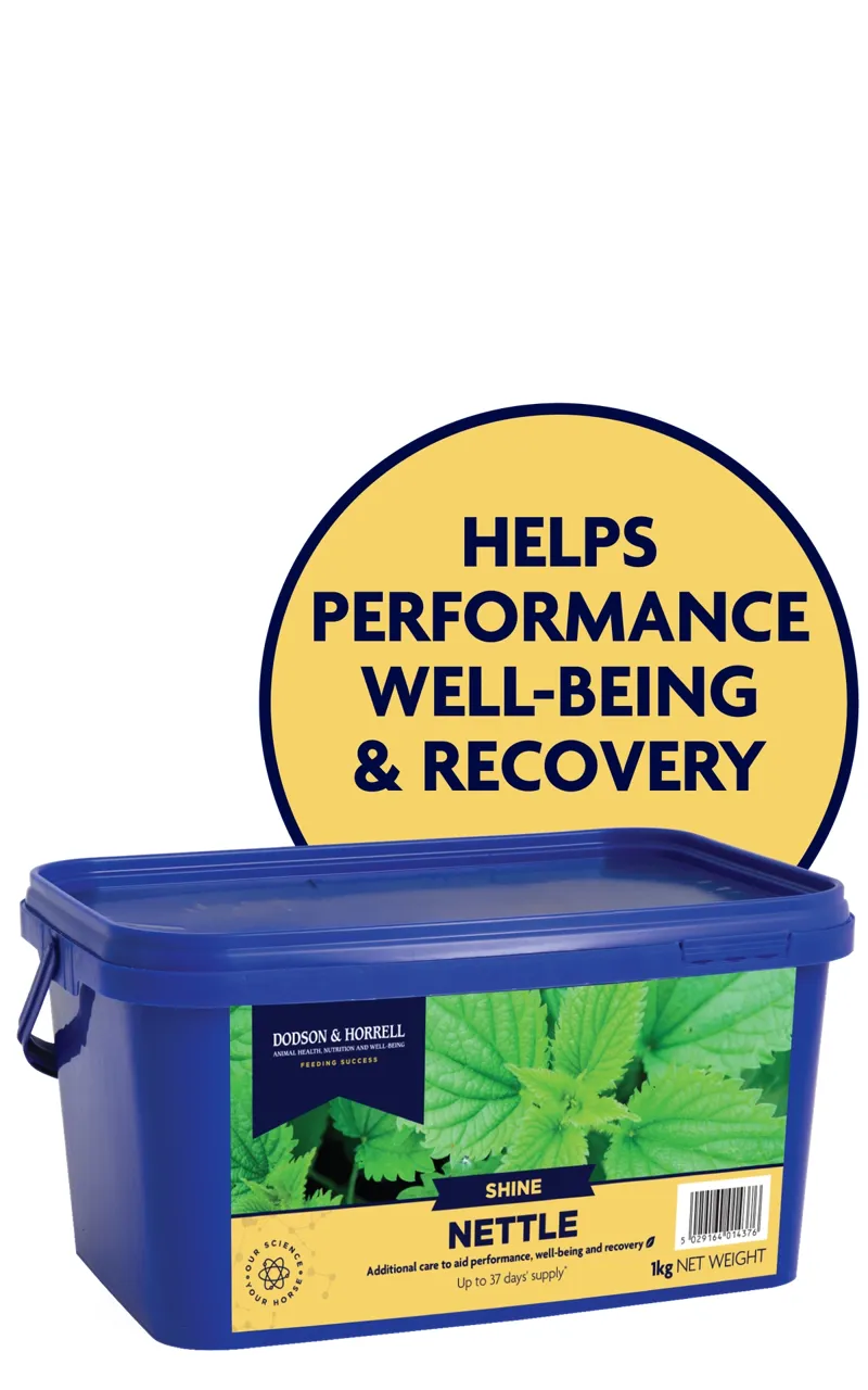 Dodson and Horrell Nettle 1kg
