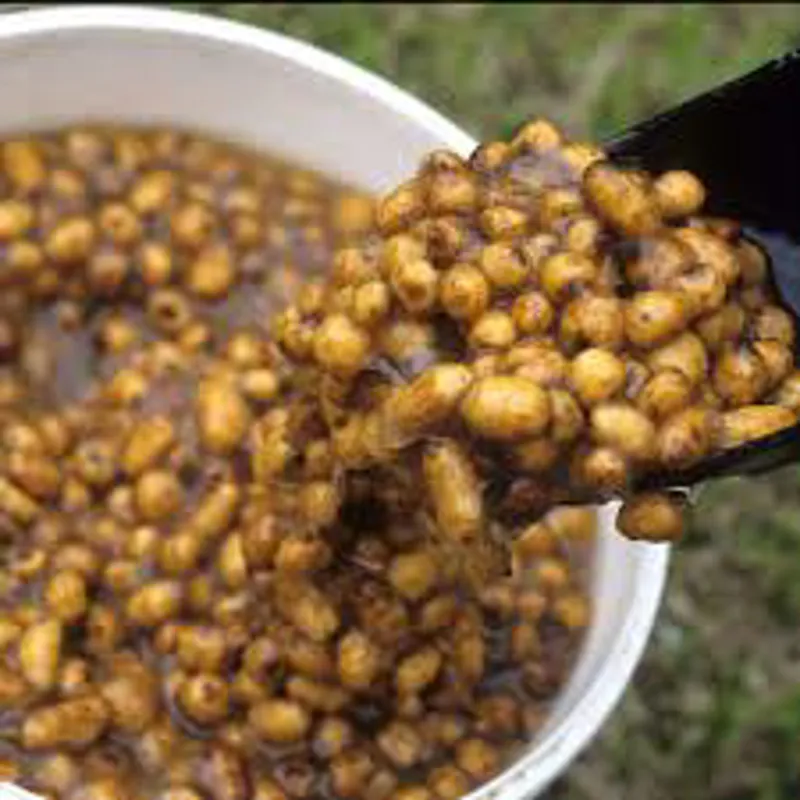 Standard Tiger Nuts - 12.5KG-1